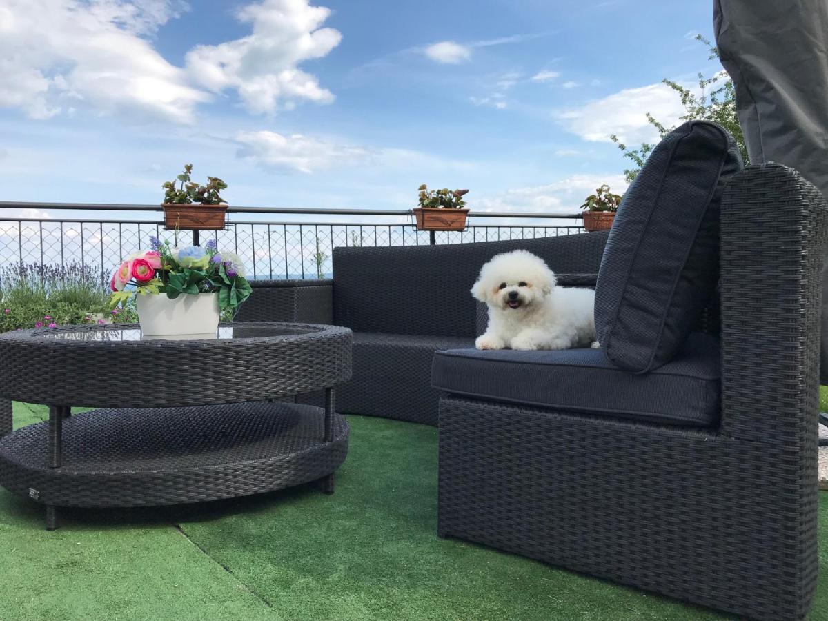 Apartman Nicole Mošćenička Draga 外观 照片